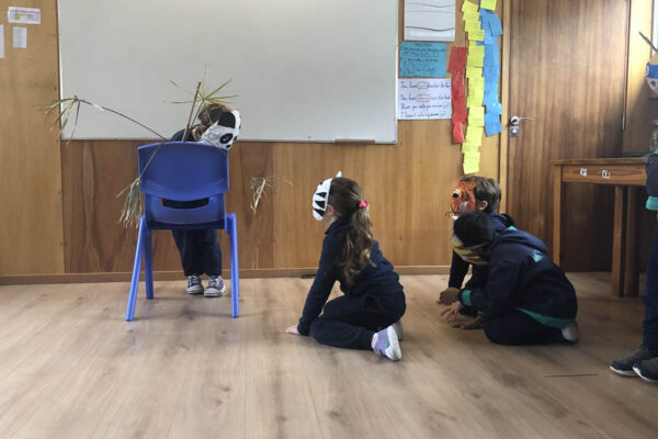 IMG-3135