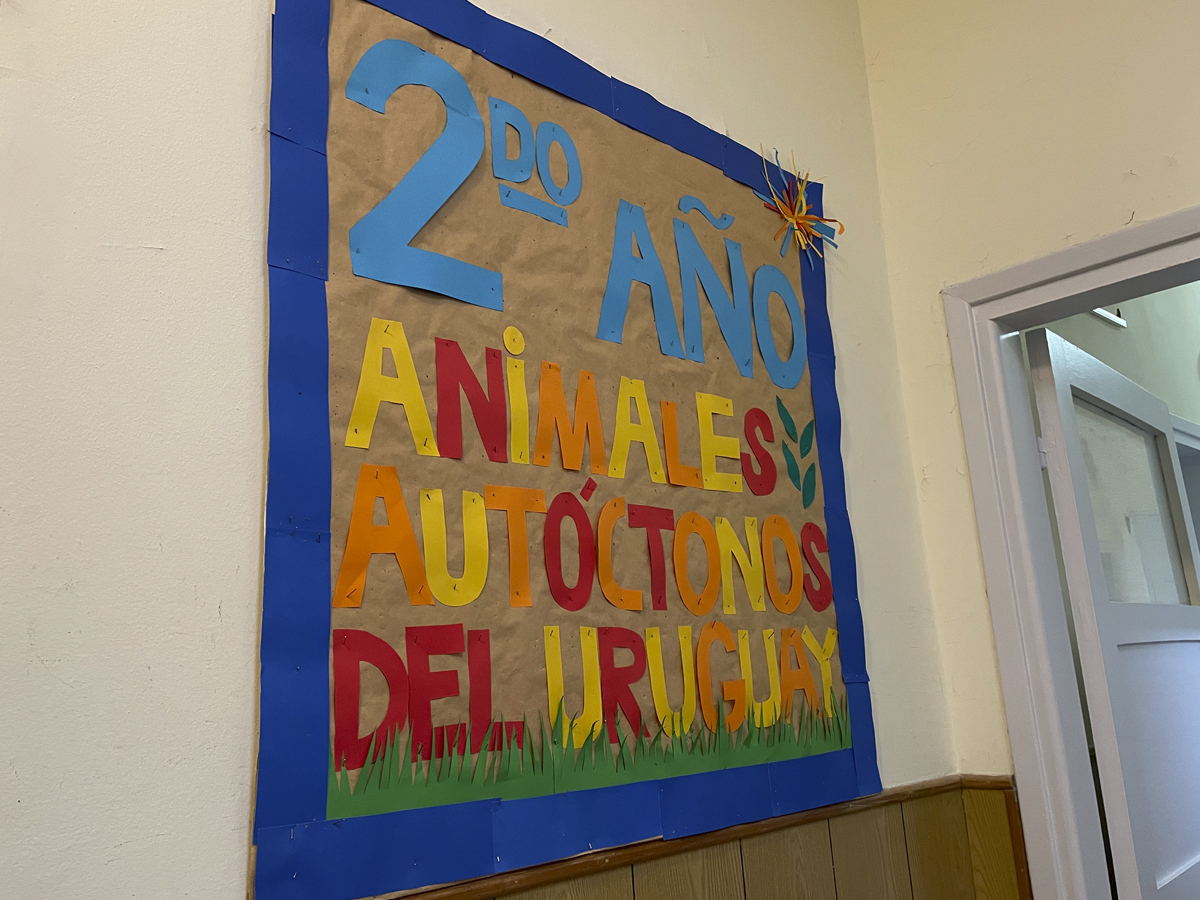 27